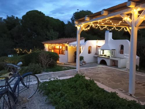 Olive Grove Soulis Family Estate in Porto Heli