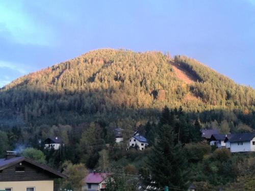 Gasthof Gesslbauer - main image