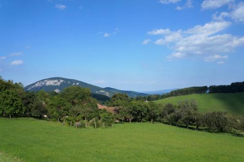 Gasthof Gesslbauer - image 12