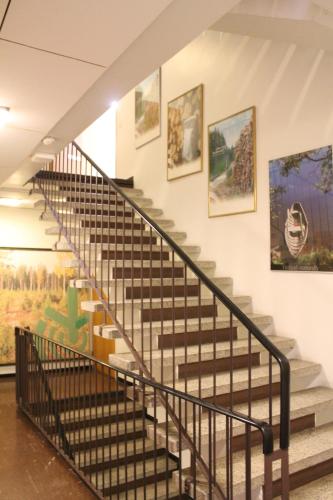 Scandinavian Dream Guesthouse and Apartments in 盧瓦聶米