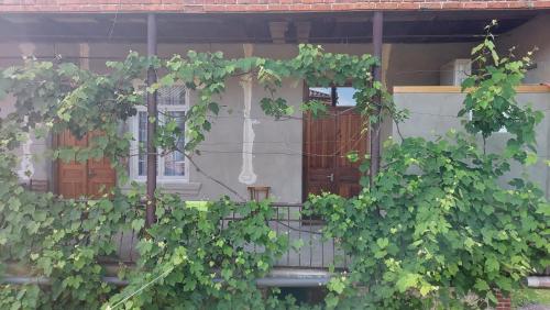 MBLi in Martvili