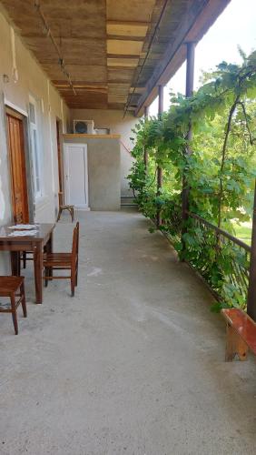 MBLi in Martvili