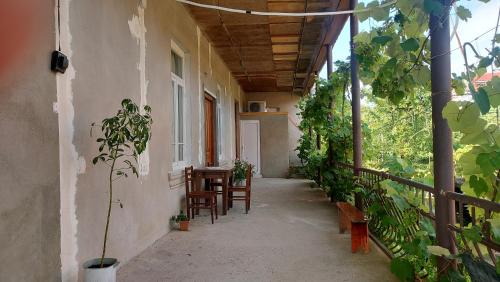 MBLi in Martvili