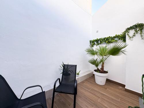 Instalaciones, Vita Verde in Torrevieja