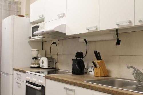 Scandinavian Dream Guesthouse and Apartments in 盧瓦聶米