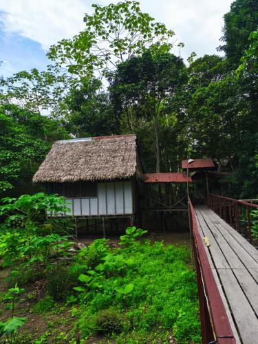 Allpayacu Lodge- Accomodation, Food & Jungle Tour Included