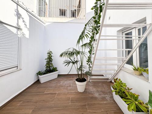 Terraza/balcón, Vita Verde in Torrevieja