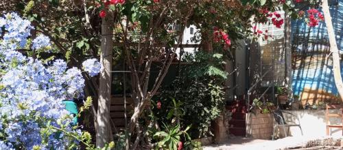 Departamento con Cochera gratuita dentro de Instalaciones 8p Tierra del Sol Eterno Ica centro