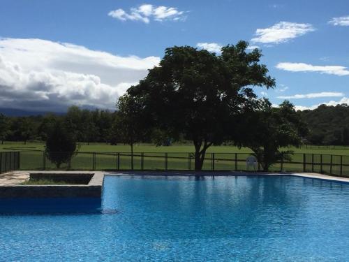 Las Cortaderas House in Raco