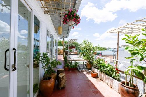 The peace home - Dalat