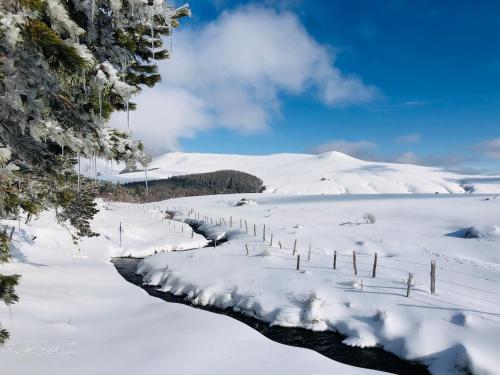 Заобикаляща среда, Gîte - Four à pain au cœur des volcans (Gite - Four a pain au cœur des volcans) in Vernines
