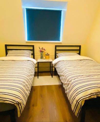 shibuya homestay in hiroo