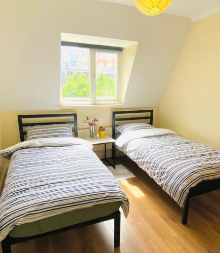 shibuya homestay in hiroo