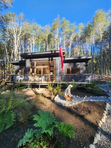 Casa en el Bosque, completa desconexión, Pucón