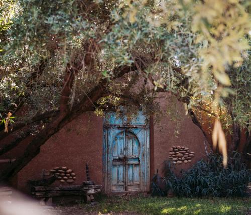 Jardin Sakina - Séjour paisible avec soins bien-être à 35 minutes de Marrakech - image 8