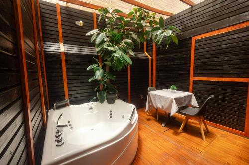 Hotel Boutique Las Hortensias in Сантьяго