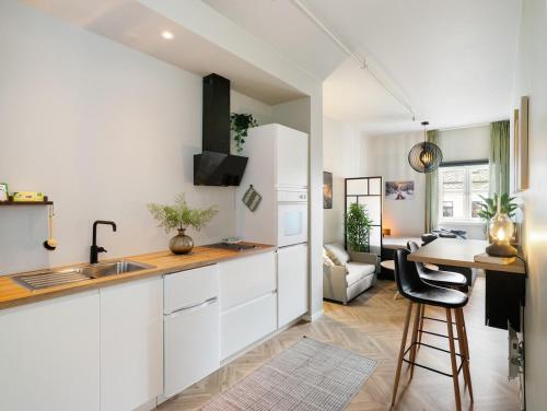 3FF - Newly renovated studio apt in the middle of the city centre in 特隆赫姆
