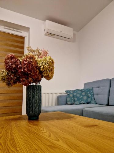 Exterior view of Multi House Rzeszow 3