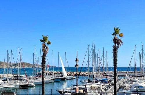 Appartement T4 moderne avec terrasse vue mer - Location saisonnière - Banyuls-sur-Mer