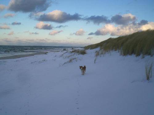 Residenz Lausitz - Apartments für Urlaub mit Hund