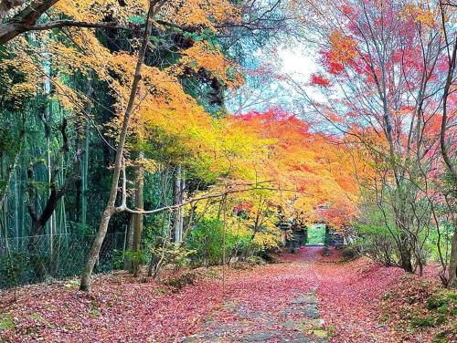 周邊環境, 龜岡的1臥室別墅 - 70平方公尺/1間專用衛浴 (Kiri no Kōbō - Private Lodge with Goemon Bath) in 龜岡