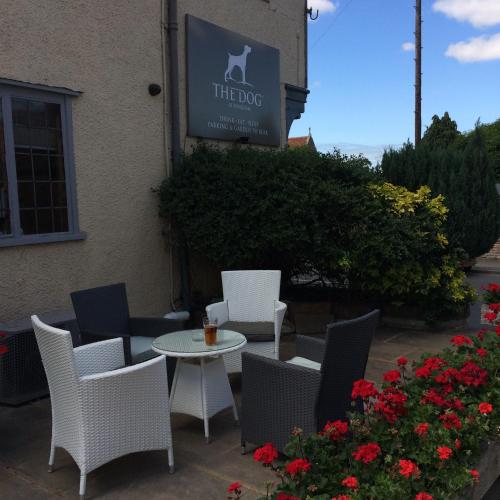 The Dog At Wingham The Dog At Wingham