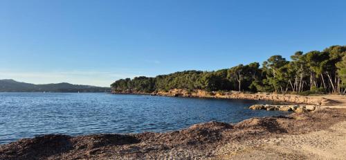 Cosy Rez jardin 1 chambre plage parking wifi in Saint Mandrier Sur Mer