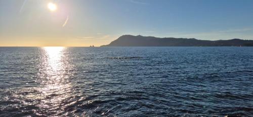 Cosy Rez jardin 1 chambre plage parking wifi in Saint Mandrier Sur Mer