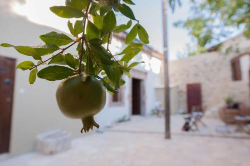 Oinoessa Traditional Boutique Guest Houses