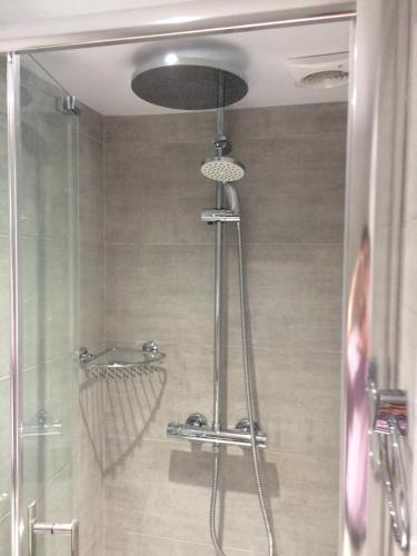 The Dog At Wingham The Dog At Wingham