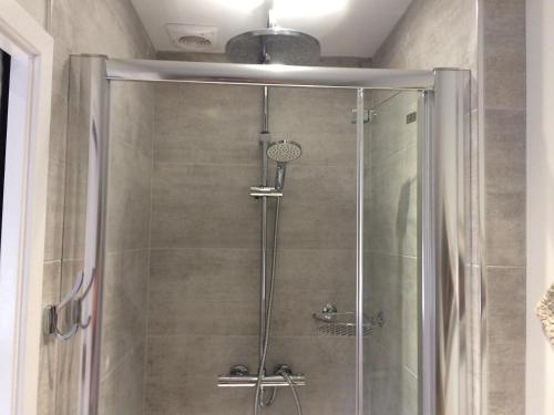 The Dog At Wingham The Dog At Wingham