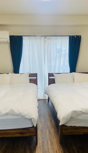 Iwamoto compound 301 岩本コンパウンド301