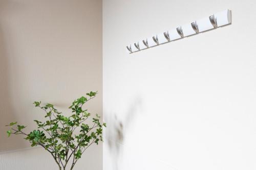 ベルビー京島 Belle Vie Kyoujima