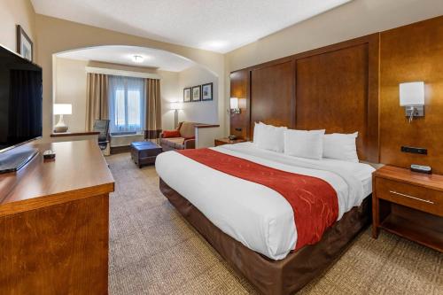 Comfort Suites Near Six Flags Magic Mountain in Stevenson Ranch, USA