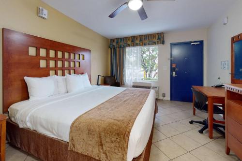 1 king bed