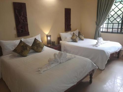 The Magic Sponge – Kampot, NJ
