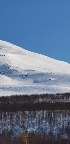 Sports un aktivitātes, Lyngen Alps Cabin with Sauna, Northern Lights & Ski Touring, 1h from Tromsø in Nordkjosbotn