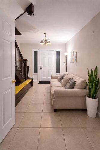 Hollywood Comfort Vibe LA