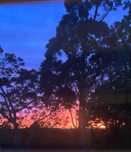 Pogled, Leafy Suburb Oasis with Comfort and Charm in Upper North Shore