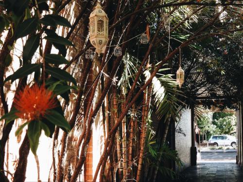 Entree, Childers Oasis Motel in Childers