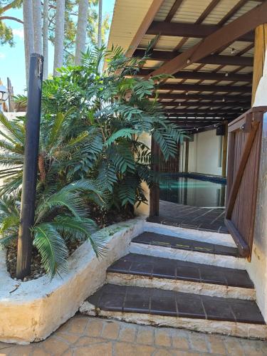 Tropical Spanish Style Cabana - New Listing! in Marrickville