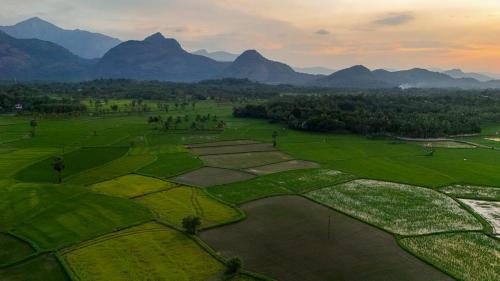 Seethavanam Farmstay at Forest Edge in Kollengode