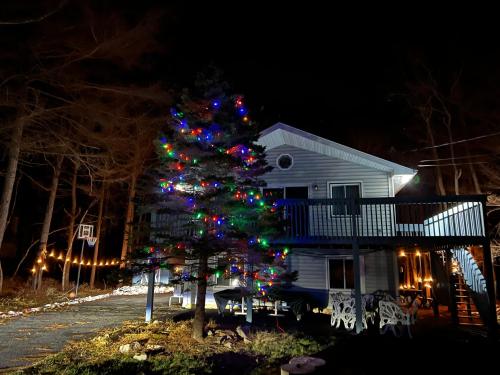 Evergreen Escapes 4 BR with Game Room, Firepit near Kalahari and Camelback in Tobyhanna Township (PA)