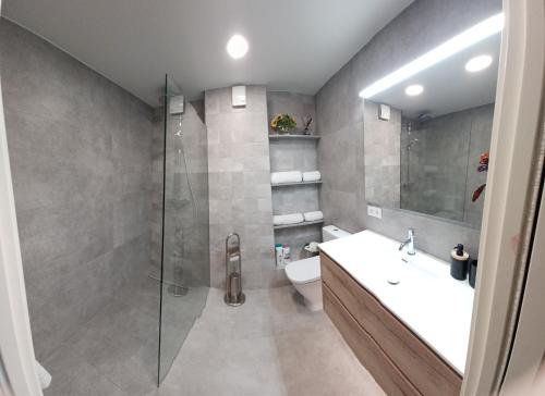 Apartament Especial Vic in Vic