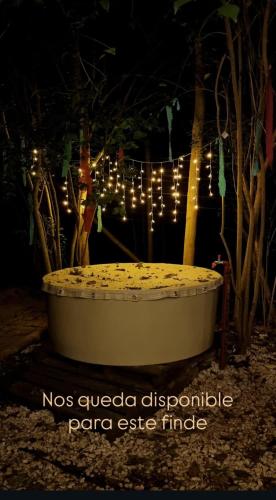 Forest Glam in San Andres de Giles