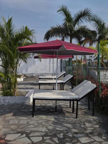 Skats, Shyam Resort in Kandva