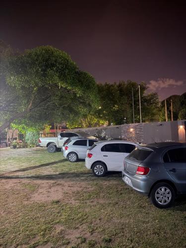 Estudio garden