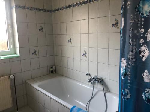 Exclusive Ferienwohnung nähe Bad Nenndorf Schaumburg (Exclusive Ferienwohnung nahe Bad Nenndorf Schaumburg) in Sontra