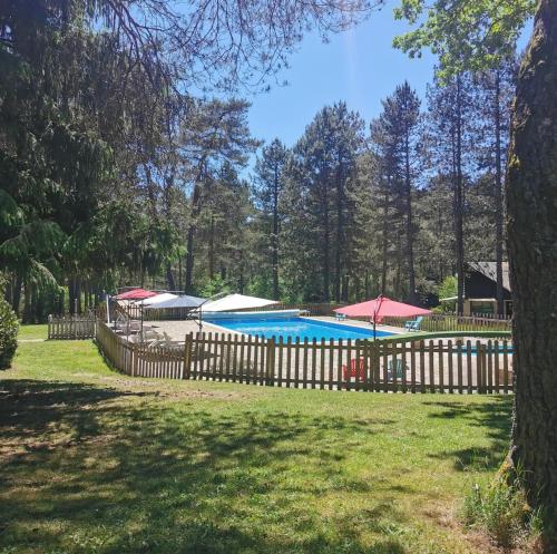 Facilities, ZEcamping 3 dog friendly tennis piscine chauffee in Combressol