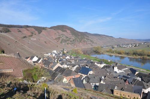 Weingut Rebenhof in Ürzig, Deutschland